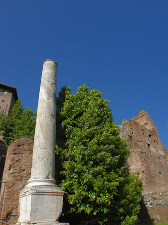 Säule am Tempel Foto 
