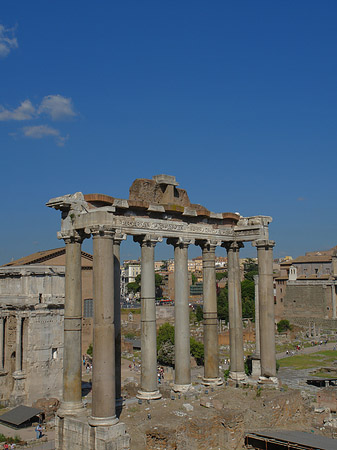 Rostra