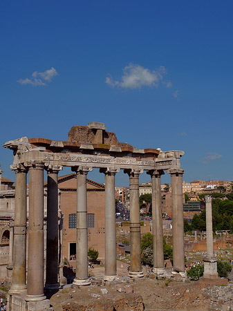 Foto Rostra