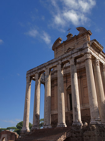 Tempel des Antoninus Pius und der Faustina Fotos