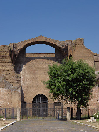 Foto Santa Maria degli Angeli