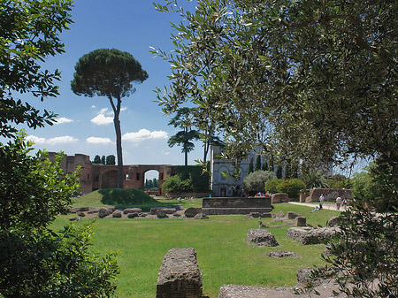 Foto Domus Augustana und das Museo Palatino