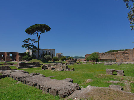 Fotos Domus Augustana und das Museo Palatino | Rom