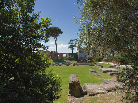 Domus Augustana und das Museo Palatino Fotos