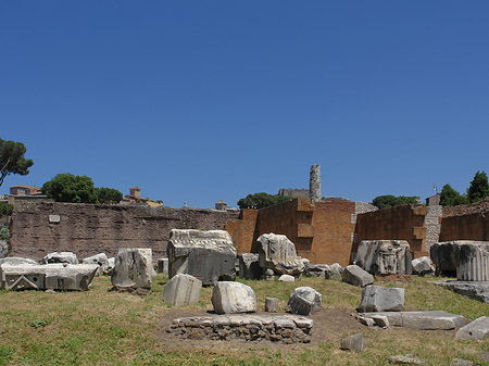 Basilica Aemilia Foto 
