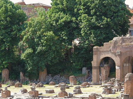 Basilica Iulia Foto 