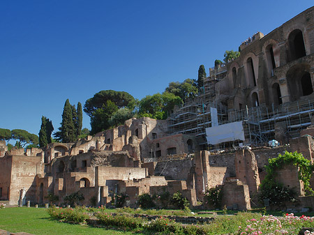 Basilica Iulia Foto 