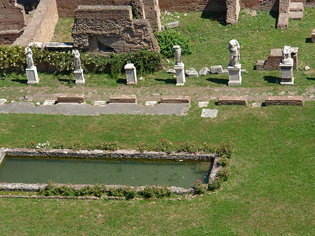 Blick auf das Forum Romanum Foto 