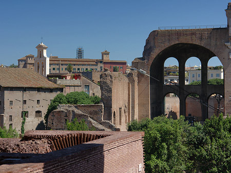 Blick auf das Forum Romanum Foto 