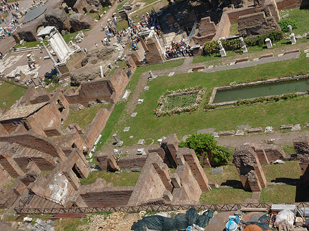 Foto Blick auf das Forum Romanum - Rom
