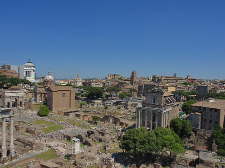Blick auf das Forum Romanum Foto 