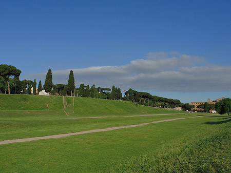 Foto Circus Maximus