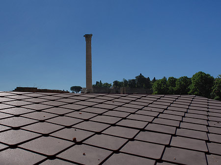 Dach am Forum Romanum