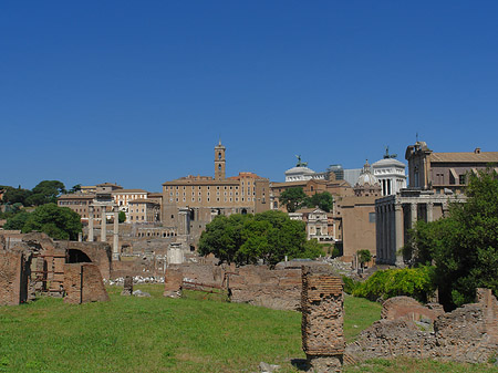 Forum Romanum Fotos