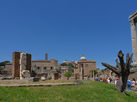 Foto Forum Romanum