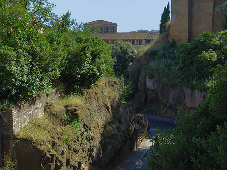 Forum Romanum Foto 