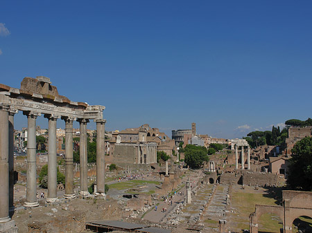 Forum Romanum Fotos