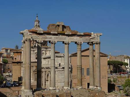 Rostra Fotos