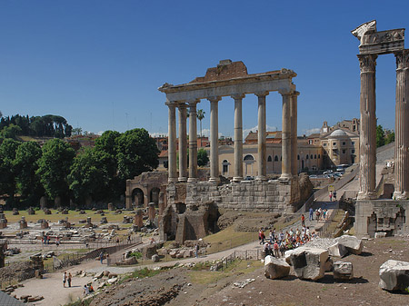 Rostra Foto 