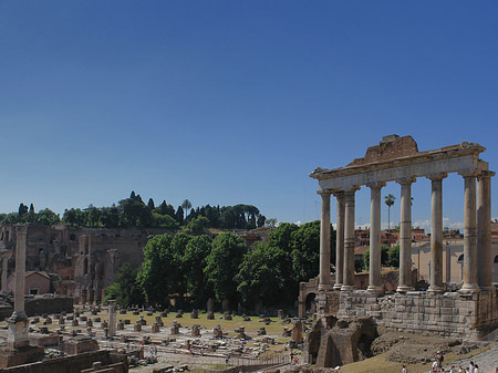 Rostra Fotos