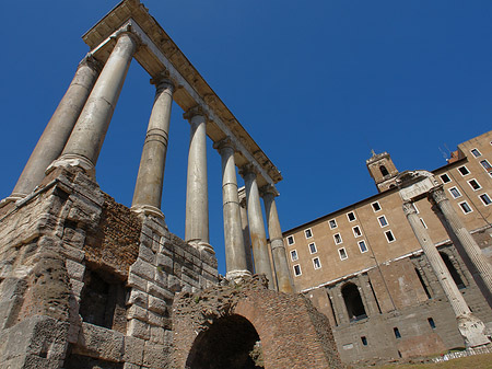 Rostra Fotos