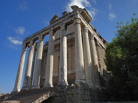 Fotos Tempel des Antoninus Pius und der Faustina | Rom