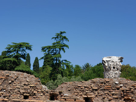 Ruinen am Apollo Tempel Fotos