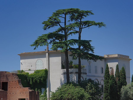 Foto Palatin Museum