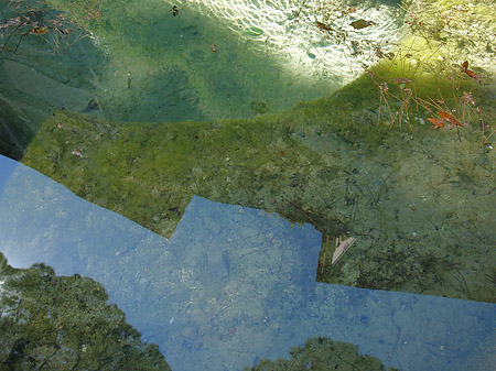 Fotos Wasser am Palatin