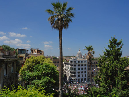 Palme an der Spanischen Treppe Fotos