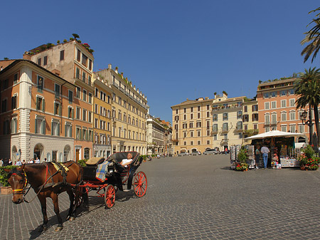 Foto Pferdekutsche auf der Piazza die Spagna - Rom